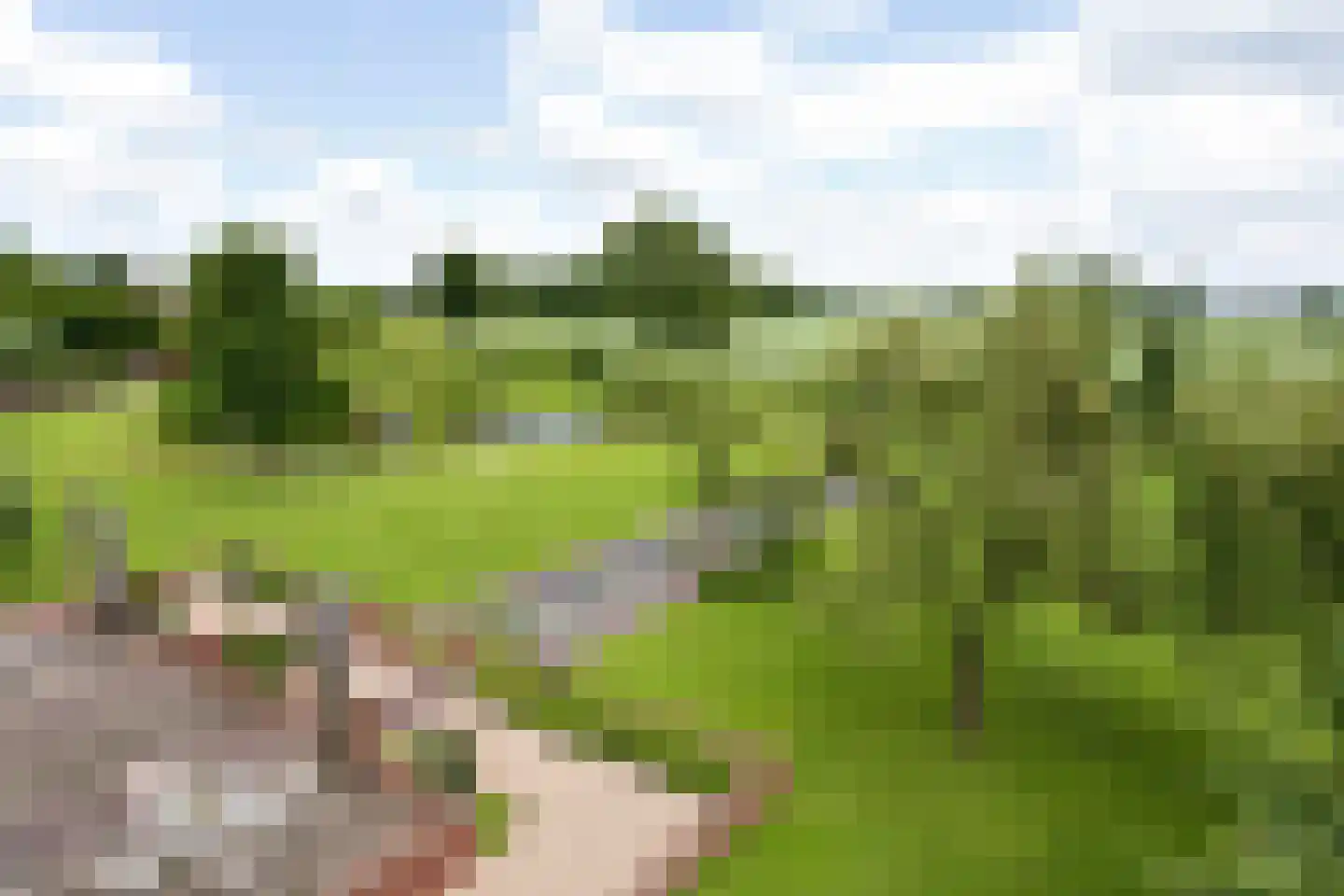 Elzenbosweg 20 Brummen thumbnail 6