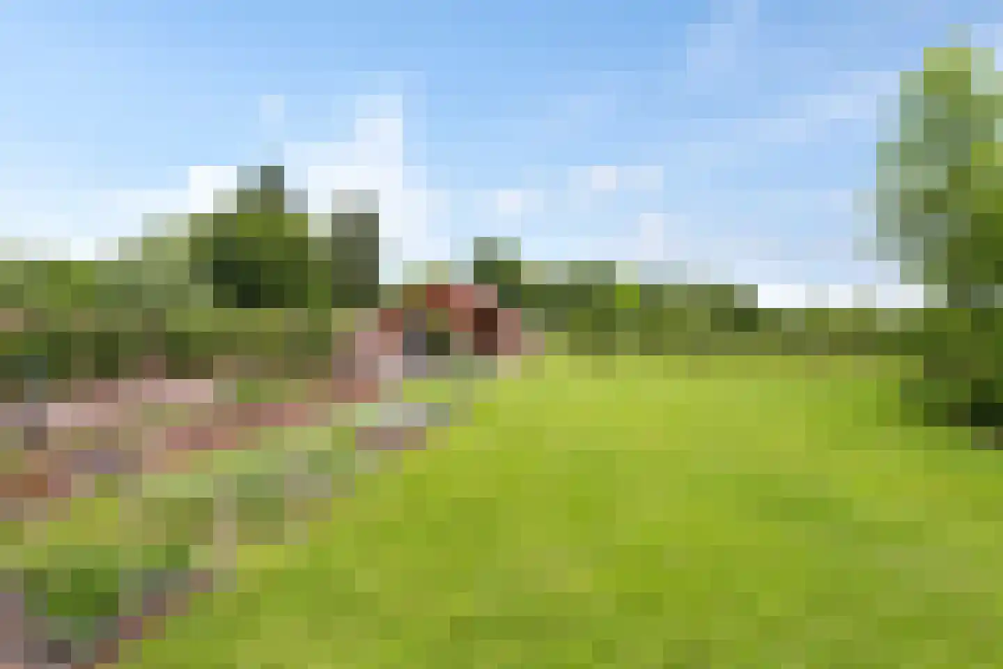 Elzenbosweg 20 Brummen thumbnail 60