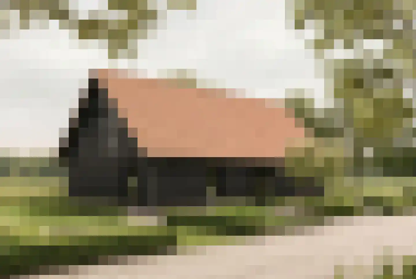 Elzenbosweg Brummen foto 3