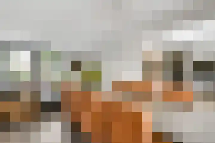 Elzenbroek 14 Swalmen thumbnail 10