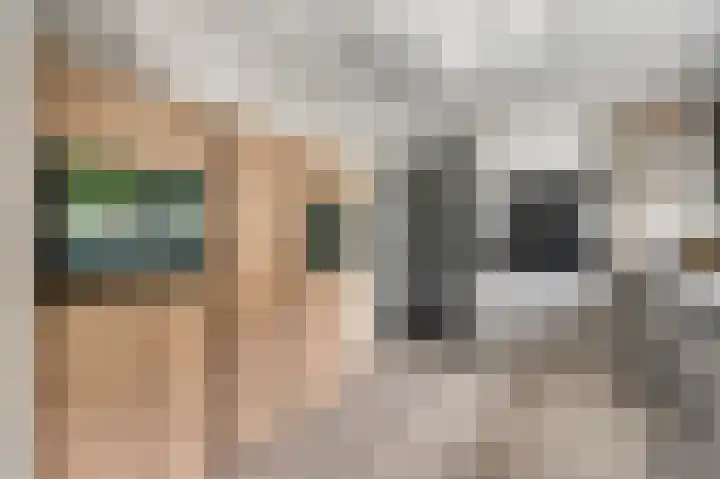 Elzenbroek 14 Swalmen thumbnail 11