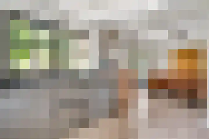 Elzenbroek 14 Swalmen thumbnail 12