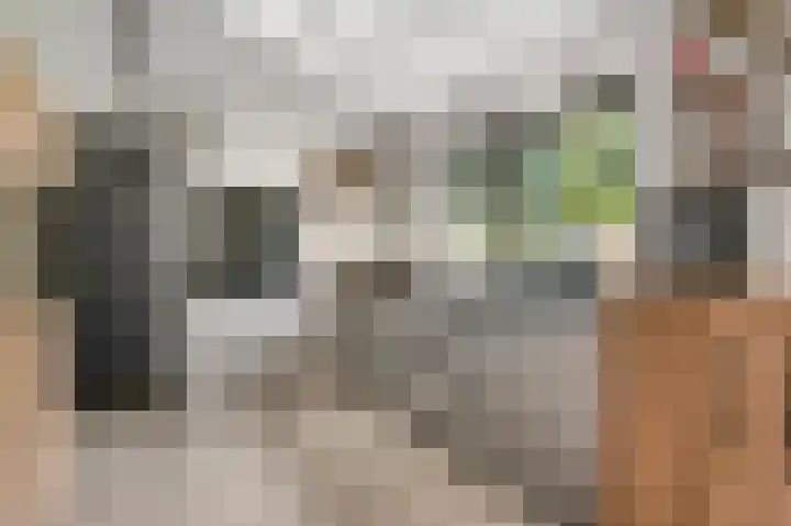 Elzenbroek 14 Swalmen thumbnail 13
