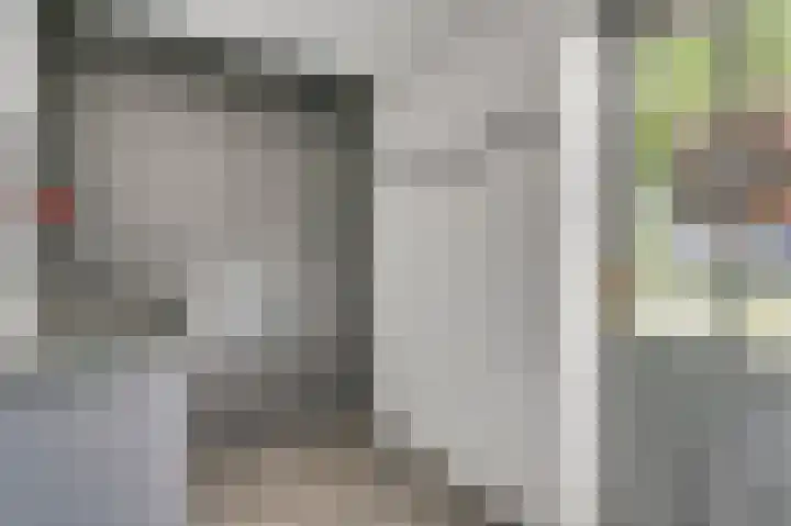 Elzenbroek 14 Swalmen thumbnail 14