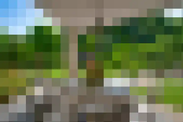 Elzenbroek 14 Swalmen thumbnail 25