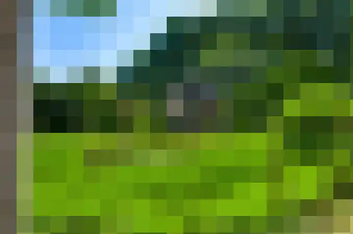 Elzenbroek 14 Swalmen thumbnail 27