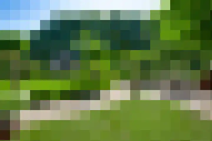 Elzenbroek 14 Swalmen thumbnail 30