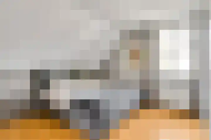 Elzenbroek 14 Swalmen thumbnail 31