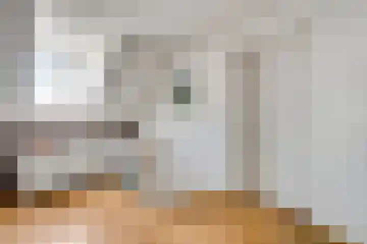 Elzenbroek 14 Swalmen thumbnail 33