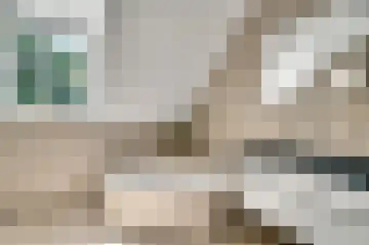 Elzenbroek 14 Swalmen thumbnail 38