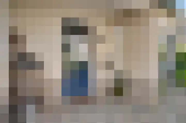 Elzenbroek 14 Swalmen thumbnail 4