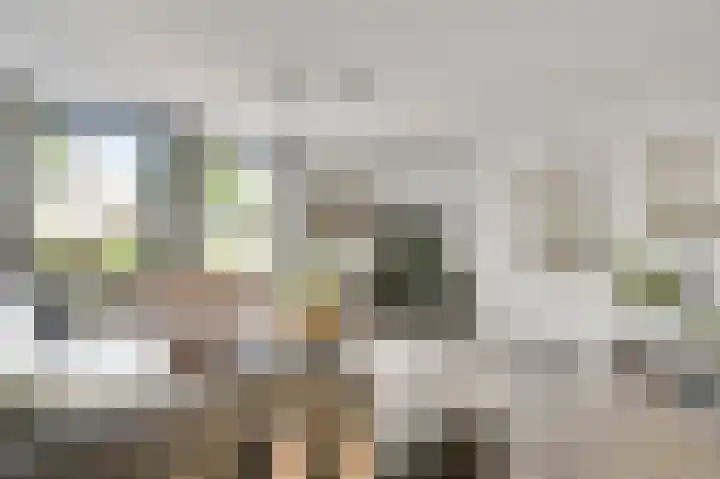 Elzenbroek 14 Swalmen thumbnail 8