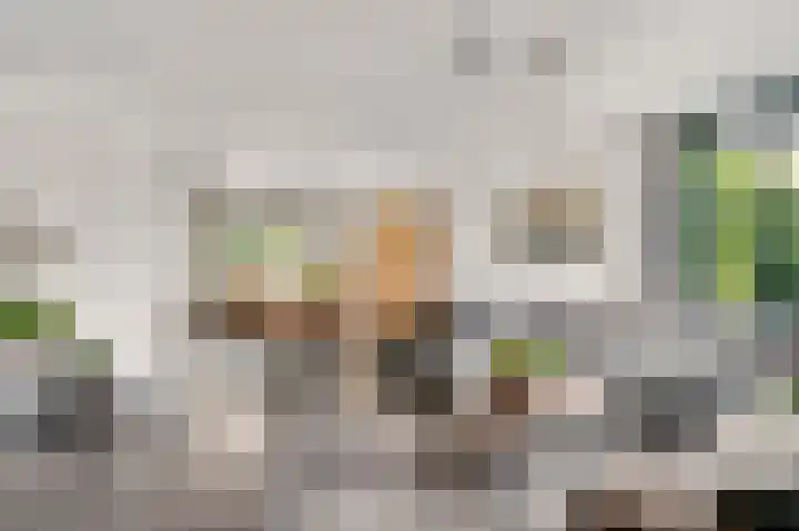 Elzenbroek 14 Swalmen thumbnail 9