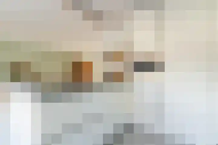 Elzenbroek 2 Breda thumbnail 11