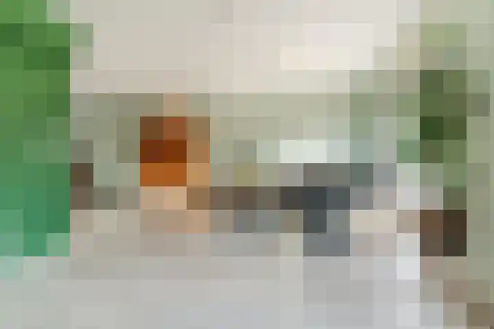 Elzenbroek 2 Breda thumbnail 12