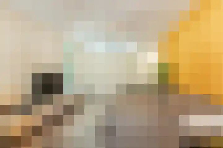Elzenbroek 2 Breda thumbnail 15