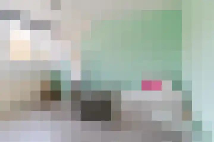 Elzenbroek 2 Breda thumbnail 21