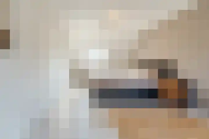 Elzenbroek 2 Breda thumbnail 22
