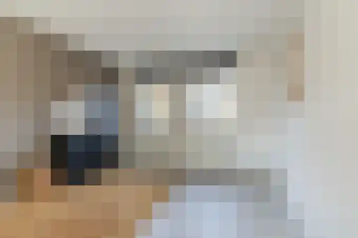 Elzenbroek 2 Breda thumbnail 23
