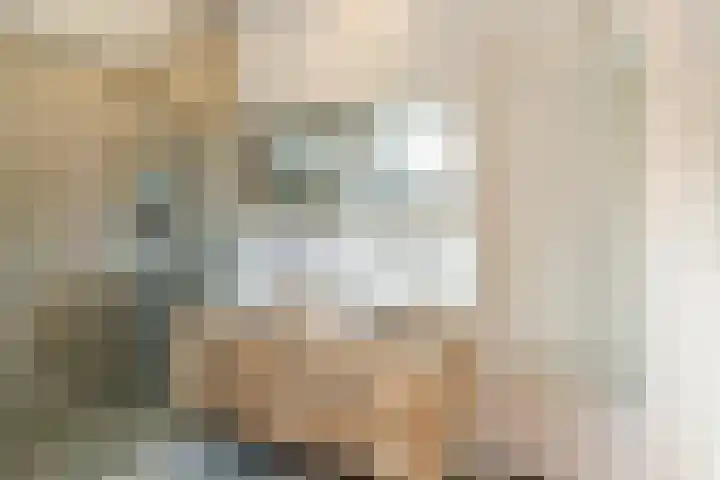 Elzenbroek 2 Breda thumbnail 26
