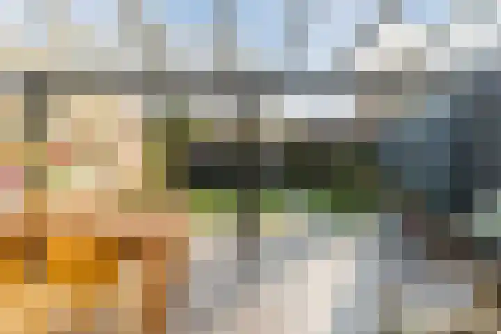 Elzenbroek 2 Breda thumbnail 27
