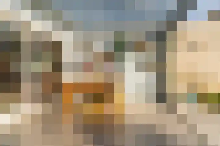 Elzenbroek 2 Breda thumbnail 28