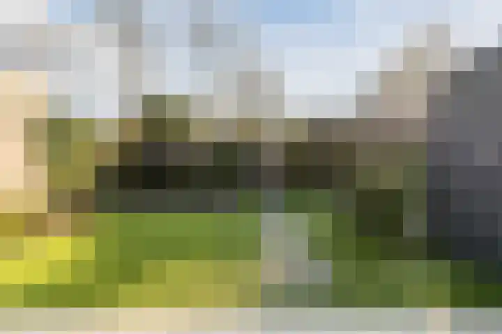 Elzenbroek 2 Breda thumbnail 30