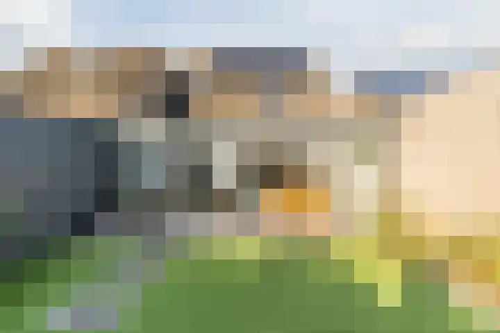 Elzenbroek 2 Breda thumbnail 32
