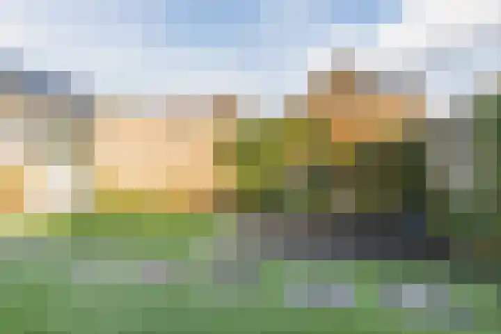 Elzenbroek 2 Breda thumbnail 33