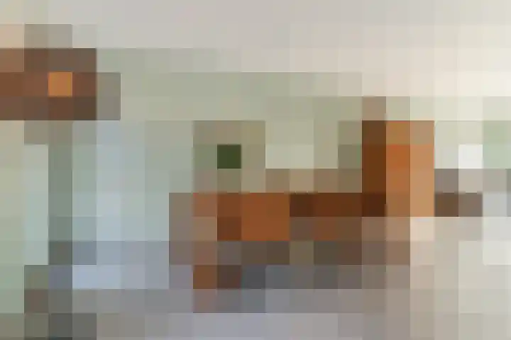 Elzenbroek 2 Breda thumbnail 5