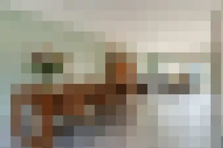 Elzenbroek 2 Breda thumbnail 9