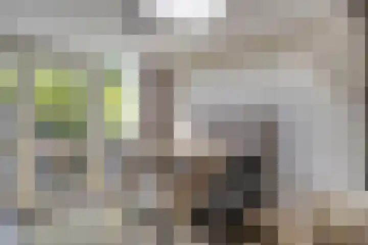 Elzenbroek 39 Breda thumbnail 8
