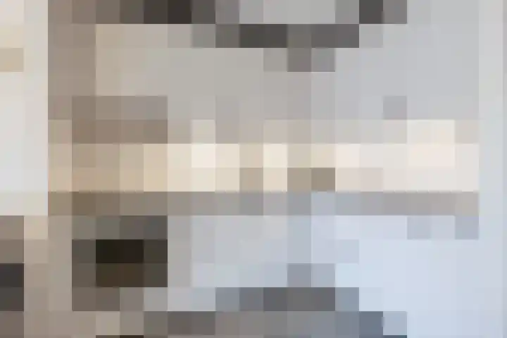 Elzenbroek 5 Breda thumbnail 17