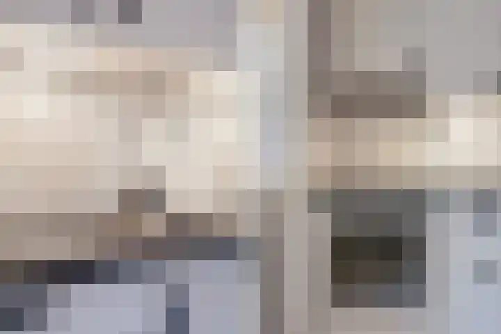Elzenbroek 5 Breda thumbnail 18