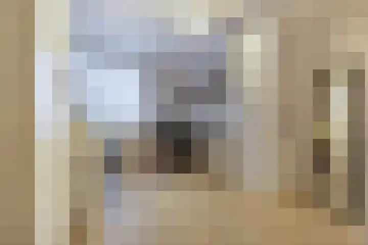 Elzenbroek 5 Breda thumbnail 20