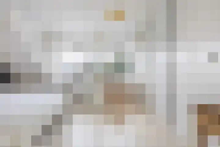 Elzenbroek 5 Breda thumbnail 23
