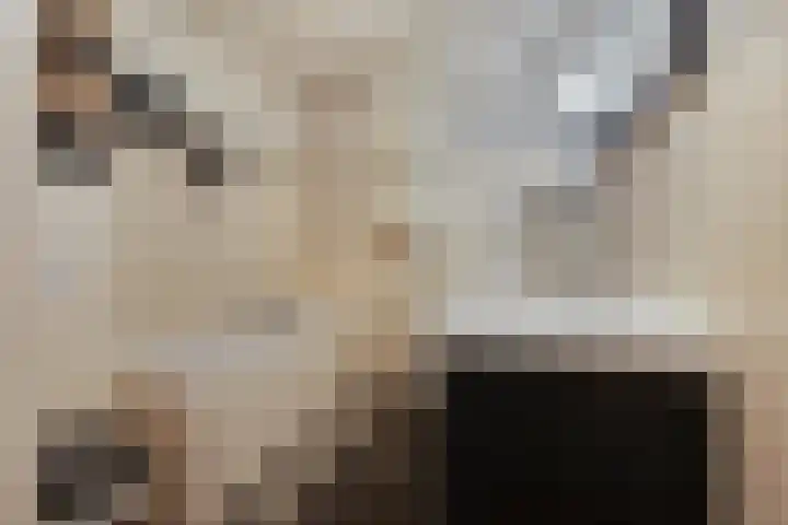 Elzenbroek 5 Breda thumbnail 26