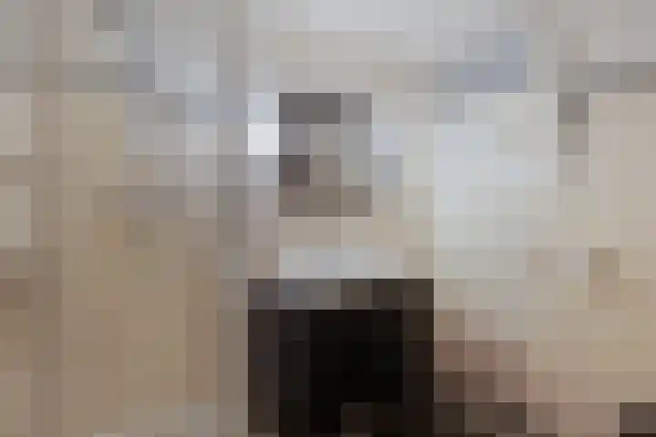 Elzenbroek 5 Breda thumbnail 27