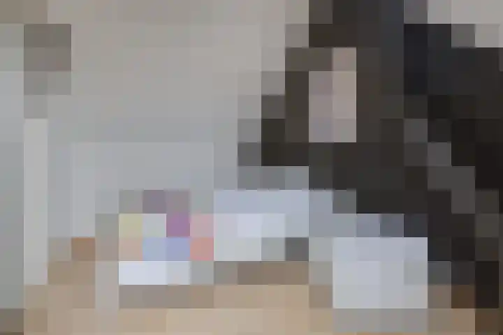 Elzenbroek 5 Breda thumbnail 33