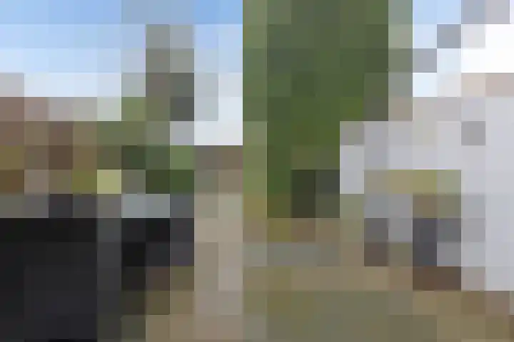 Elzenbroek 5 Breda thumbnail 34