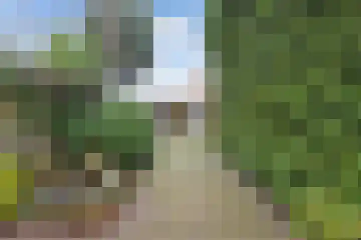 Elzenbroek 5 Breda thumbnail 36