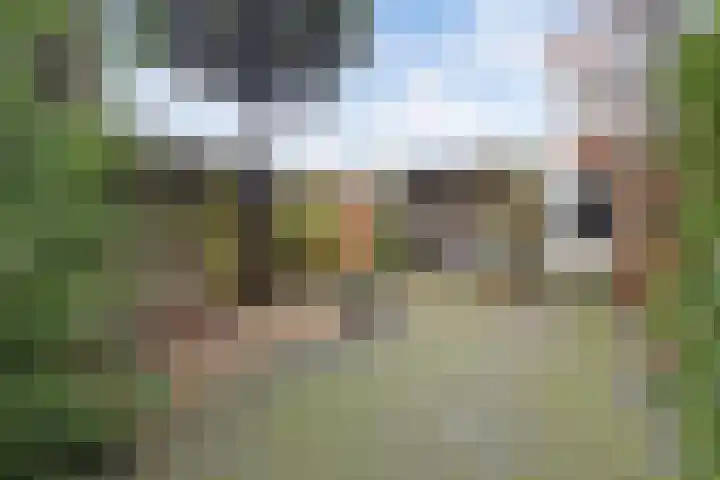 Elzenbroek 5 Breda thumbnail 37