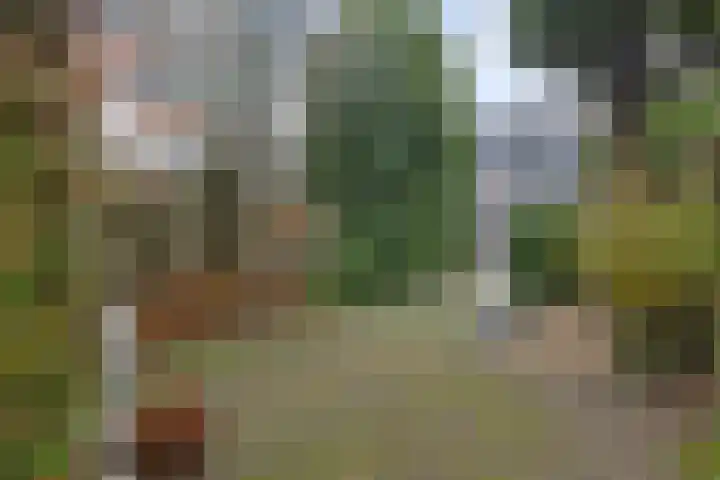 Elzenbroek 5 Breda thumbnail 38