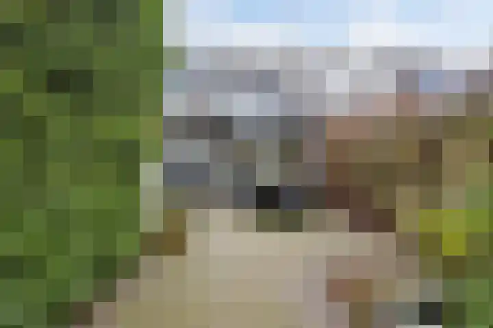 Elzenbroek 5 Breda thumbnail 39