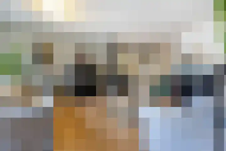 Elzenbroek 5 Breda thumbnail 6