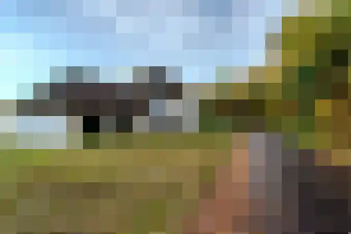 Elzenbroek 5 Ossendrecht thumbnail 10