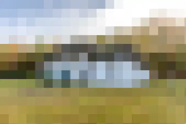 Elzenbroek 5 Ossendrecht thumbnail 11