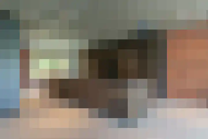 Elzenbroek 5 Ossendrecht thumbnail 18