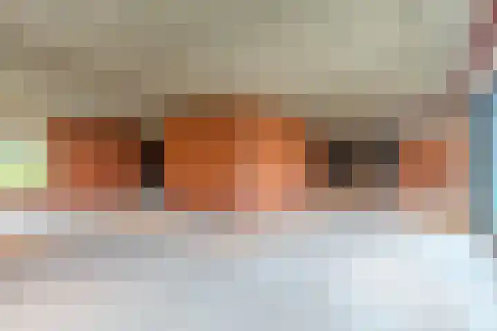 Elzenbroek 5 Ossendrecht thumbnail 26