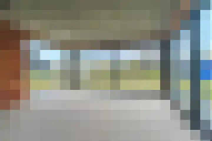 Elzenbroek 5 Ossendrecht thumbnail 4